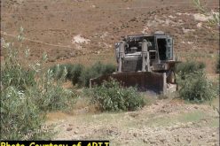 More Land Confiscated to build By-Pass Road in Za’tara