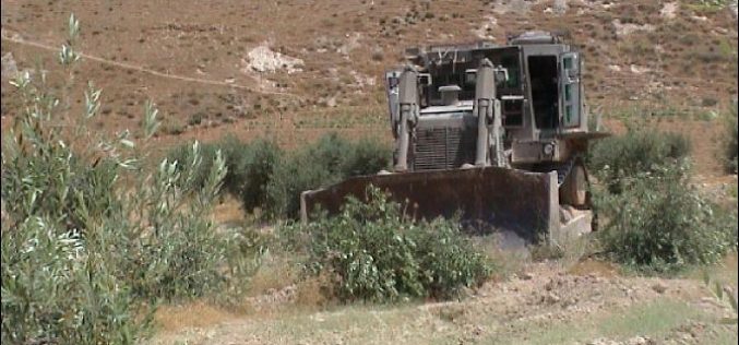 More Land Confiscated to build By-Pass Road in Za’tara