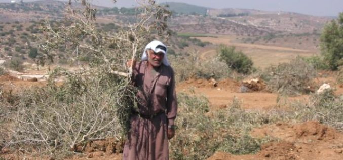 Constructing the Segregation Wall are in Deir Samit village – Hebron