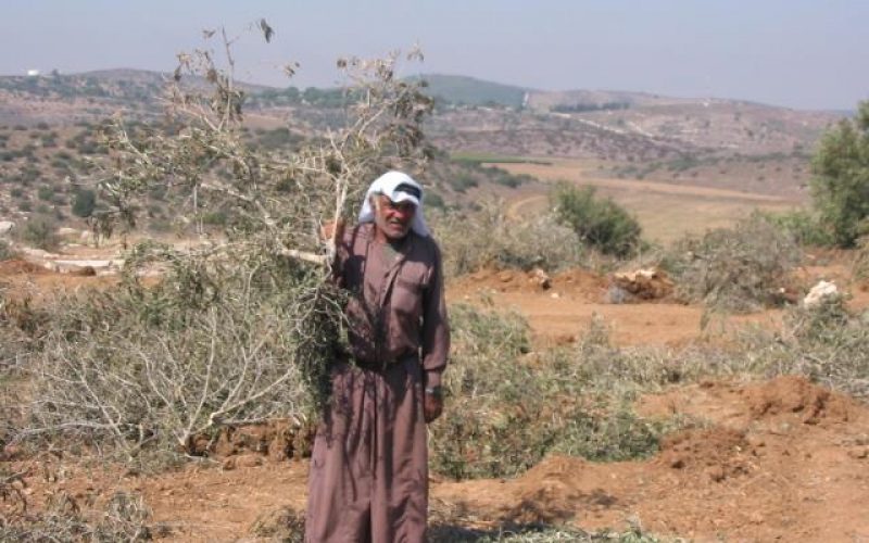 Constructing the Segregation Wall are in Deir Samit village – Hebron