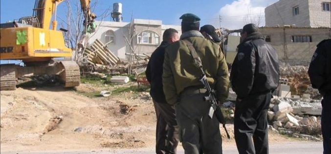 Al-Walajeh Devastated by Israeli Bulldozers