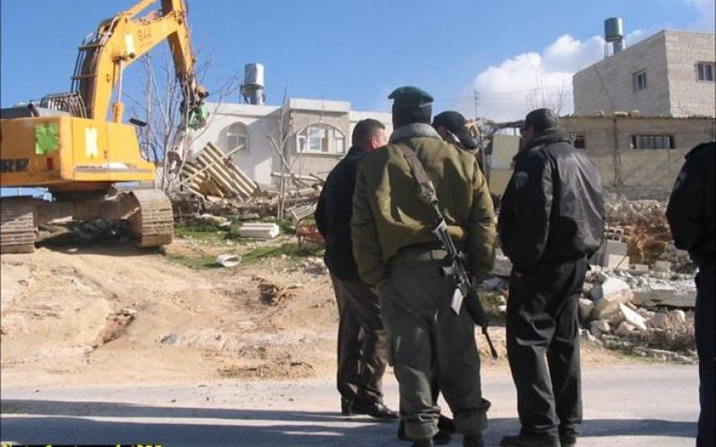 Al-Walajeh Devastated by Israeli Bulldozers