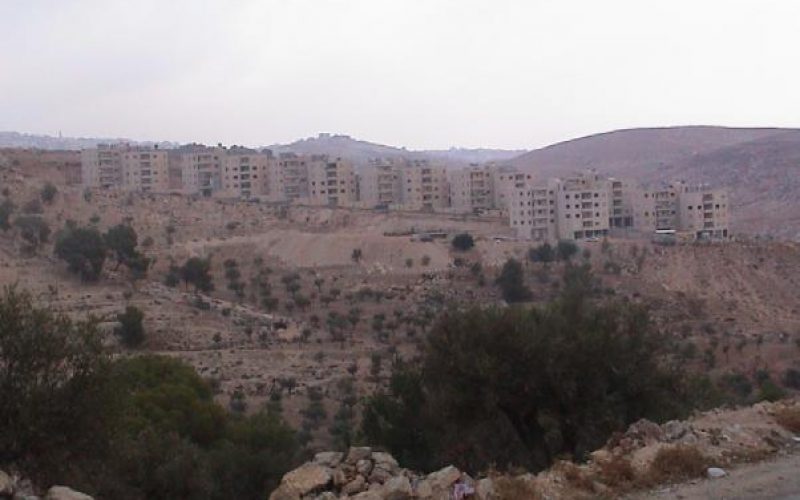 New Order in Beit Sahour City
