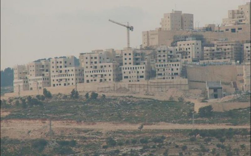 Illegal Israeli Settlements Expanded Dramatically between 2002 and 2004