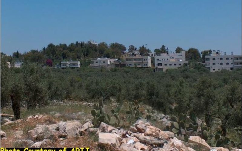 ‘Aboud, the city of flowers, threatened by the Israeli Segregation Wall