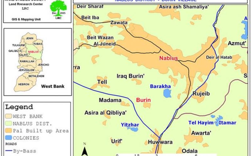 Burin olive orchards under settlers’ attack