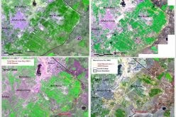 “Blue Sky” Operation <br>  “Israel Makes up for its Concessions at Rafah with a Buffer Zone North of Gaza “