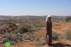 Impact of Wall inception on the border villages of Dura region