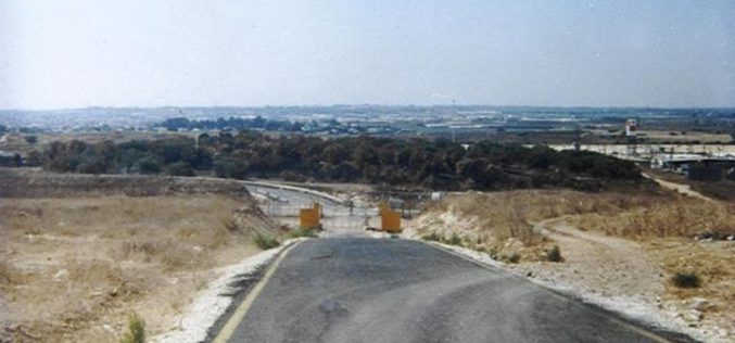 Closure of an agricultural Wall gate threatens the olive-picking season in Far’un village