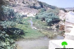 Israeli settlements transform Wadi Beit Amin into a highly polluted area