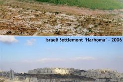 Environmental “Ecocide”: The undeclared Israeli War against the Palestinian Trees