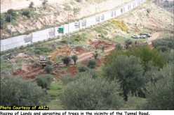 Wall Constructions recommence in Beit Jala City