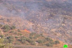 Israeli arson war continued against Palestinian agricultural land in Far’un village