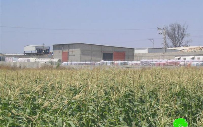 المصانع الإسرائيلية في مناطق غرب مدينة طولكرم و أثرها على الإنسان و البيئة الفلسطينية