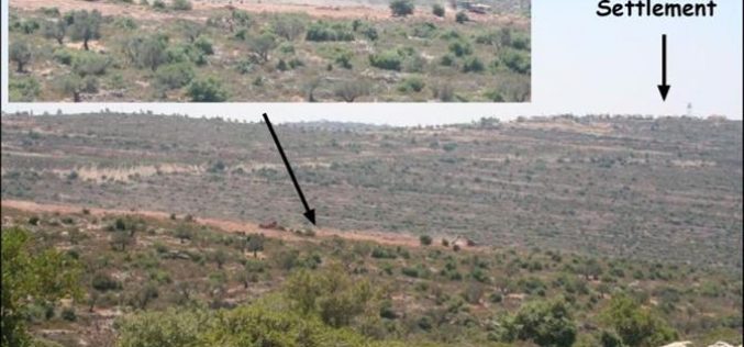 Israeli settlers prepare to establish an Outpost in Al Mazra’a Al Qibiliya village