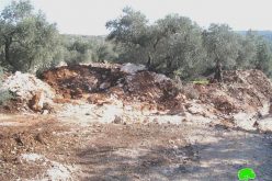 Closing of all the local agricultural roads in Deir Al Ghusun town