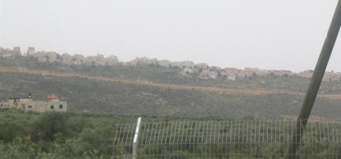 Israeli Occupation Authorities Transform the so- called “Judea and Samaria College” in Ariel Colony into a University