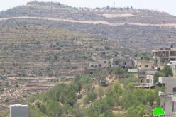 مستوطنو معاليه ليفونا يدمرون العشرات من أشجار الزيتون في قرية اللبن الشرقية