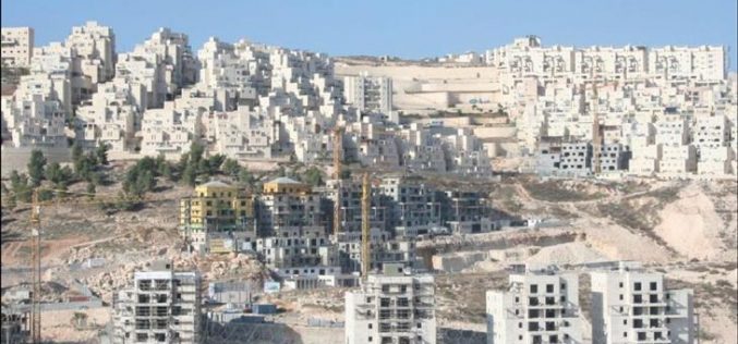 النشاطات الاستيطانية الاسرائيلية في الاراضي الفلسطينية المحتلة ما بعد مؤتمر أنابوليس