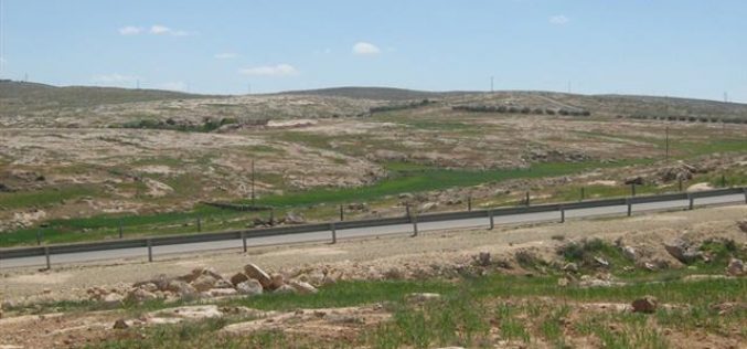 The Demolition of Caves and Animal Pens in Khirbet Qawawis South of Yatta