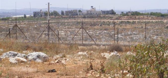 جدار العزل الإسرائيلي يحرم عشرات المزارعين الفلسطينيين من خربة رأس طيرة من الوصول إلى أراضيهم الزراعية