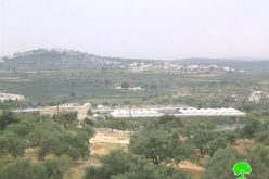 Israeli Occupation Authorities Mislead the Local and International Media with the Removal of an outpost in the West Bank