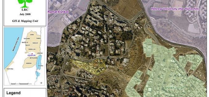 ترحيل عائلة الكرد مقدمة لإنشاء حي استيطاني في الشيخ جراح