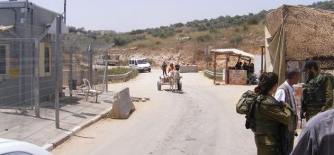 Increased Israeli Harassment Policy against Palestinian Students in the Village of Azzun Al Atma
