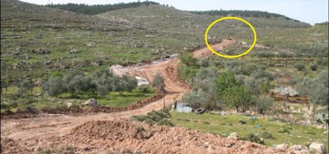 الاحتلال الاسرائيلي يشق شارع استيطاني على أراضي قرية نحالين