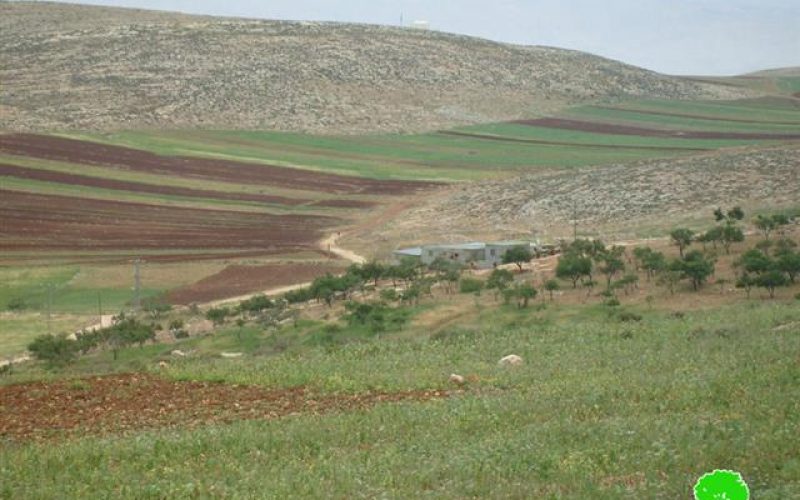 Residential and agricultural buildings demolished in Khirbet at Tawil