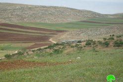 قوات الاحتلال تهدم عدد من المنشآت السكنية والزراعية في خربة الطويل