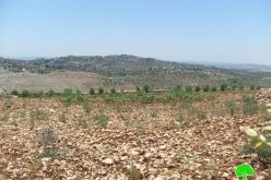 Israeli Military Orders Vacating 380 Dunums of Ya’abad Lands as a Prelude to Confiscation