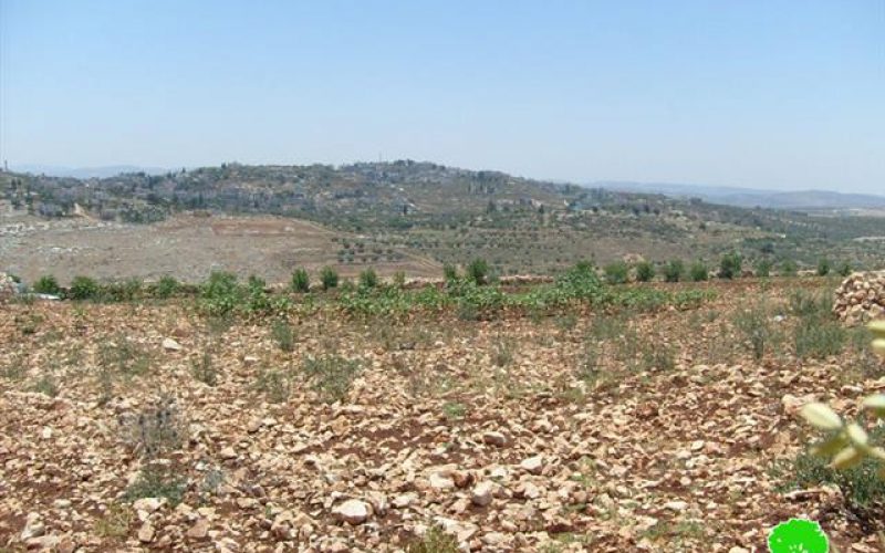 Israeli Military Orders Vacating 380 Dunums of Ya’abad Lands as a Prelude to Confiscation