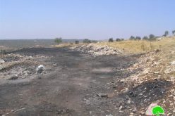 Israeli Colonists of Yetzhar set fire to Palestinian fields in Burin Village