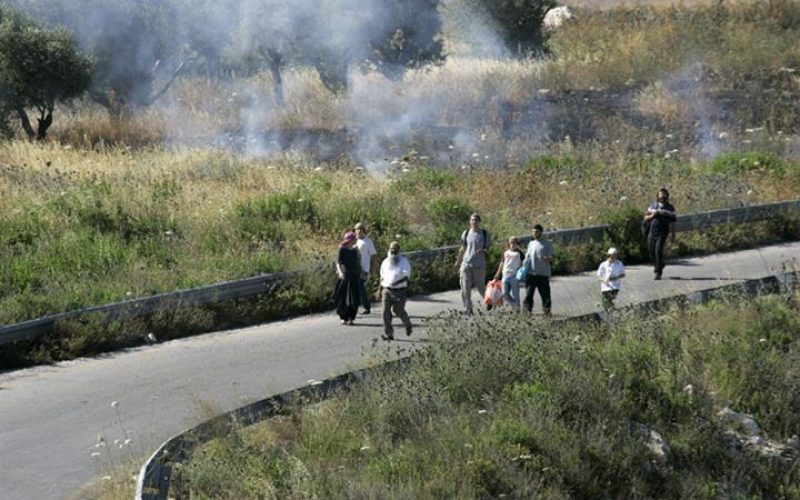 مستوطنو غلعاد زوهر يحرقون مزيداً من  الأراضي الزراعية الفلسطينية في قرى غرب مدينة نابلس