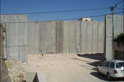 في ذكرى مرور خمسة اعوام على صدور الراي الاستشاري لمحكمة العدل الدولية بخصوص الجدار الفاصل في الاراضي الفلسطينية المحتلة