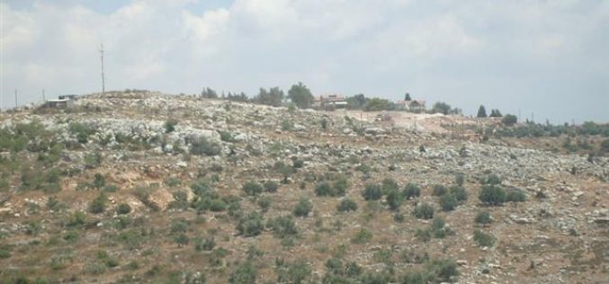 Palestinian land bulldozed for colonial expansion in Sarta village