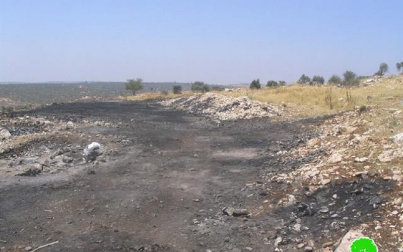 المستعمرون الإسرائيليون يحرقون مزيداً من الأراضي الزراعية الفلسطينية في قرية بورين