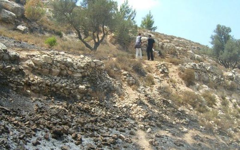 Israeli Colonists Burn More Palestinian Lands in Beit Ummar and Safa