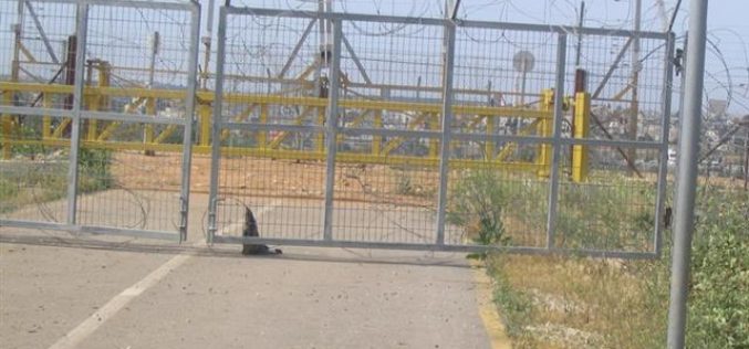 Israeli Occupation Forces prevent Mas-ha villagers from reaching their lands behind the Isolation Wall.