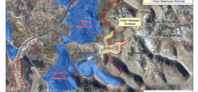 Umm Salamuna Village stands to lose its lands for the Israeli colonial activities