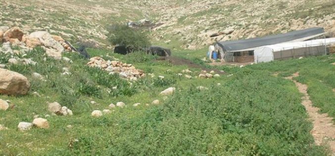New Stop-Work Orders against Palestinian Structures in Al Hadidiya and Samra