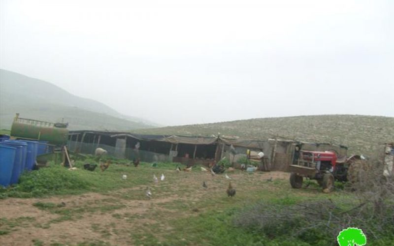 إخطار أصحاب 55 منشأة سكنية وزراعية  بالرحيل في الأغوار الشمالية