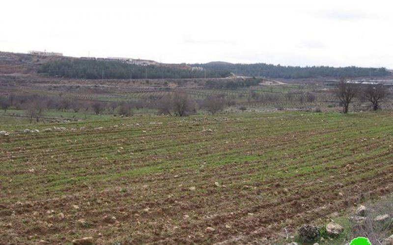 Israeli Occupation Authorities Confiscate 600 Dunums of Brikot Lands