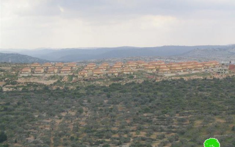 Israeli Dozers consume more Amatin lands