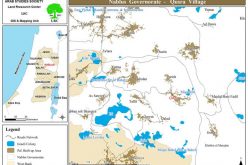 Israeli Settlers Uprooted 350 Small Olive Trees