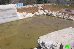 الاحتلال يهدم برك مياه زراعية في واد الغروس شرق الخليل