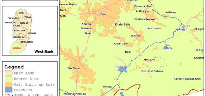 Susiya Colonists convert Palestinian lands into herding ground