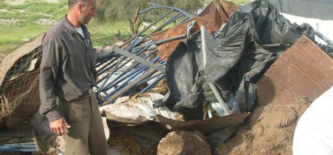 Israeli Occupation Demolish Palestinian Structures in Khirbet Samra -Tubas Governorate.