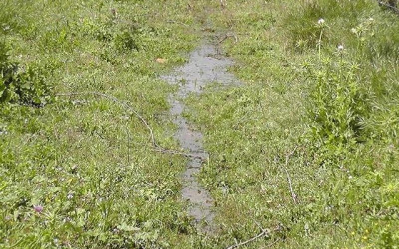 For the Third Time: Kfar Etzion Colonists Dump their Sewage in Palestinian Agricultural Lands in Town of Beit Ummar – Hebron Governorate